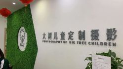 -大树儿童摄影