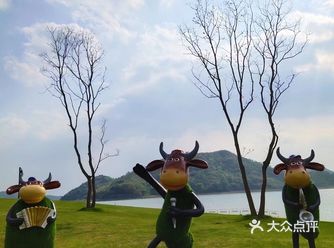 门票0，停车费0，不出市，带娃看海