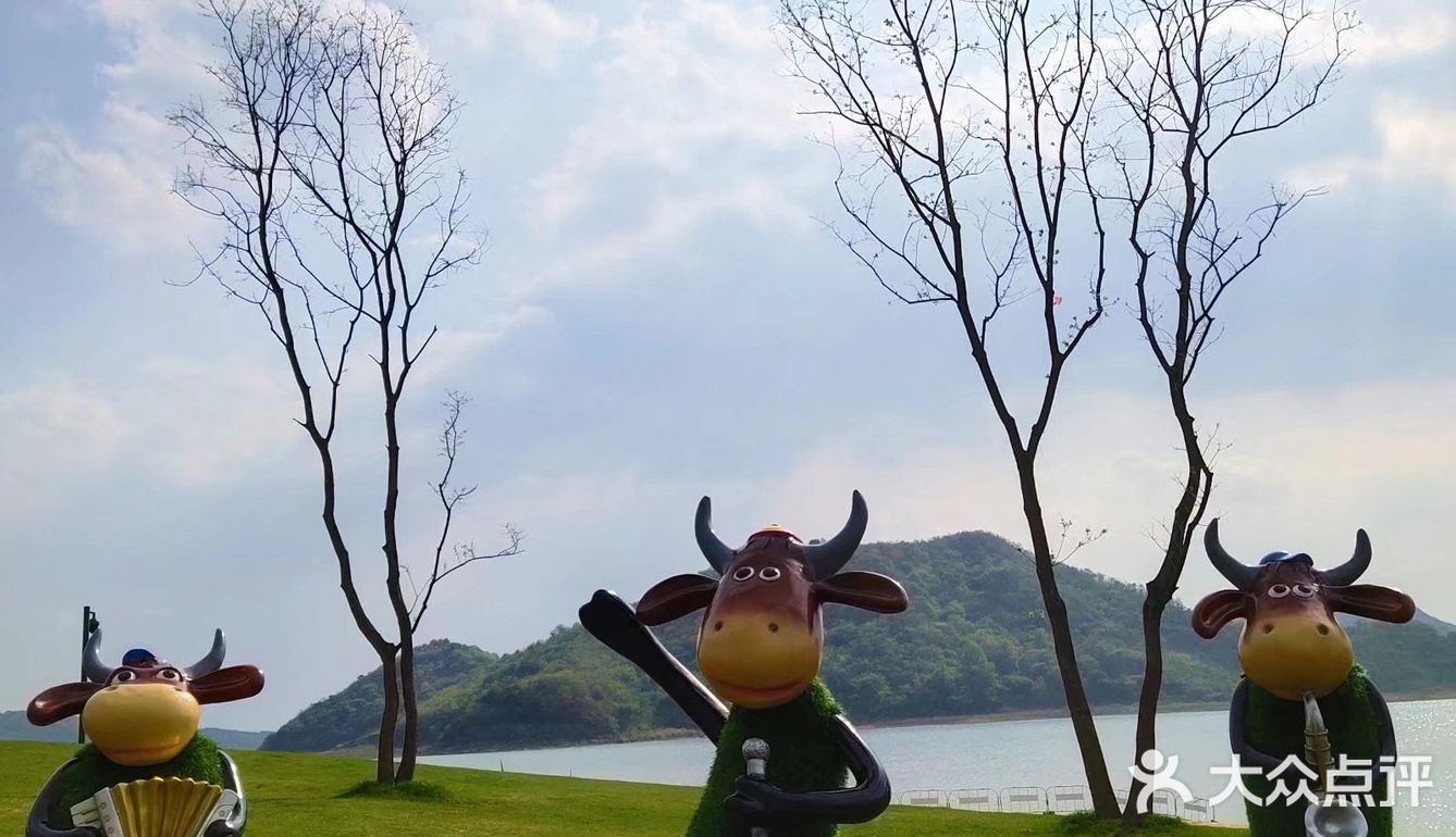 门票0，停车费0，不出市，带娃看海