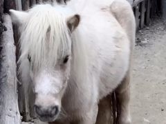 -泉州海丝野生动物世界