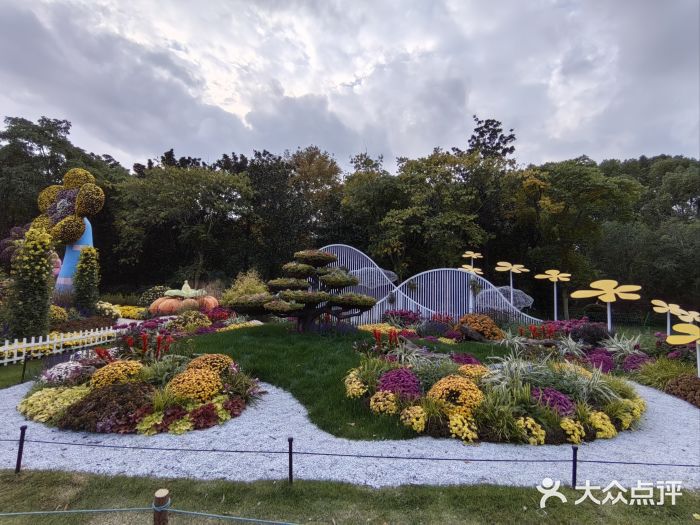 上海共青森林公园图片