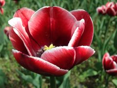 -长春公园(普阳街道)