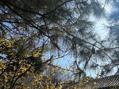 -月坛公园