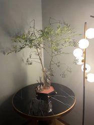 -花隐·美芙炫海菲秀皮肤管理中心