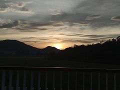 -艾米稻香小镇