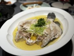 -子福慧(虹桥店)