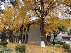-四川大学(望江校区)
