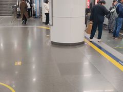 -大望路(地铁站)