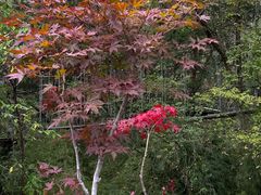 -叠溪松坪沟景区