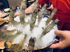 -王家渡火锅店(棕榈泉店)