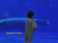 -华夏文旅海洋公园