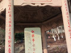 -平湖九龙山旅游度假区