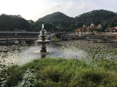 -红山村