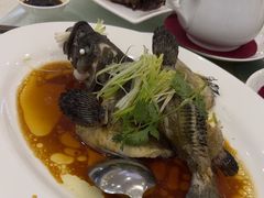 -东国海鲜火锅城(氹仔店)