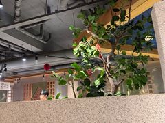 -蘸小院铁锅炖·蘸酱菜·东北菜(怀远门店)