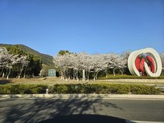 -树山生态村