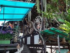 -自然餐厅(Phuket)