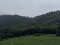 -敬亭山风景名胜区