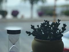 -野菌皇海景野生菌火锅(滨海大道店)