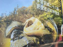 -潇湘甲鱼村(清河店)