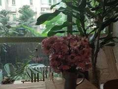 -绿房子方寸咖啡(星海名城店)