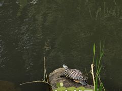 -苏州河梦清园环保主题公园