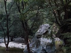 -少华山国家森林公园