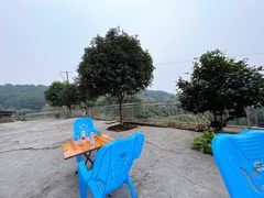 -金水泊山庄·花椒鸡(铁山坪店)