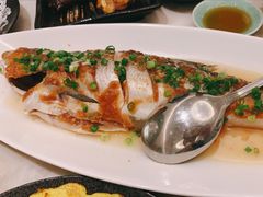 -满乐潮州(深业上城店)