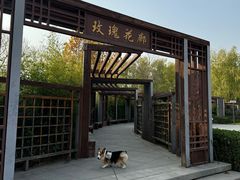 -坝河休闲公园