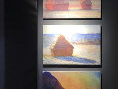-印象莫奈时光映迹艺术展