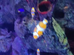 -沈阳海洋探索中心