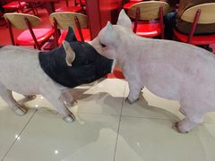 -猪角·闽南猪脚饭(上梅林店)