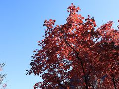 -周口店坡峰岭风景区