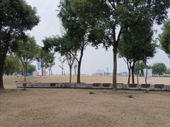 -上海山野camping·户外天幕烧烤·团建拓展营地