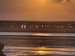 -宝安西湾红树林湿地公园