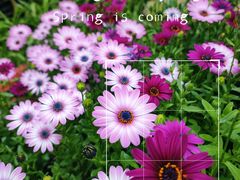 -南通洲际绿博园