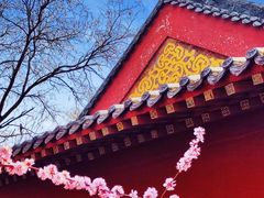 -桃花堤公园