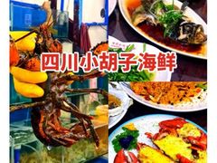 -亚龙湾热带天堂森林公园