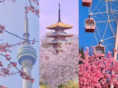 -武汉大学-樱园