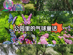 -上海共青森林公园
