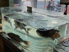 -湘轩·土菜研究院(光大店)