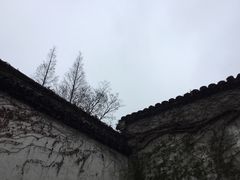 -乌镇东栅景区