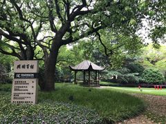 -上海兴国宾馆香樟园西餐厅