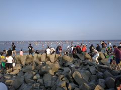 -南汇嘴观海公园