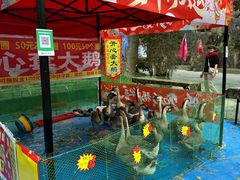-龙门水都景区