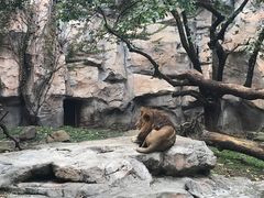-上海野生动物园