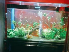 -小河盐帮·私家菜·烤鸭(三元桥·霄云路店)