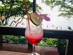 -卷心菜和避孕套餐厅(Pattaya)