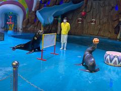 -烟台海昌鲸鲨海洋公园